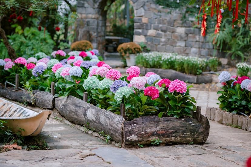 Stamped Concrete Edging for Garden Beds: Durable and Stylish Landscape Borders