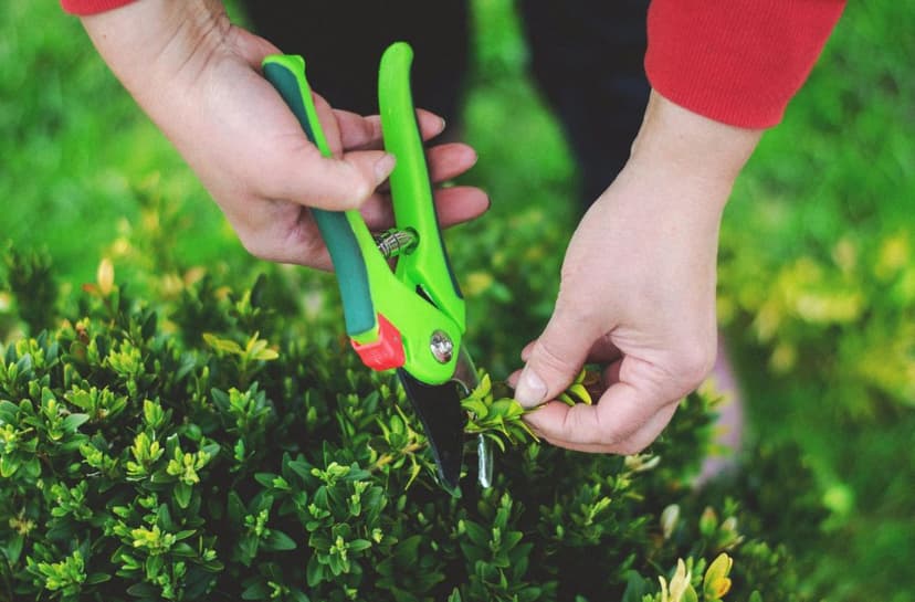 Fall Bush Trimming and Mulching Checklist: A Simple Seasonal Yard Care Guide