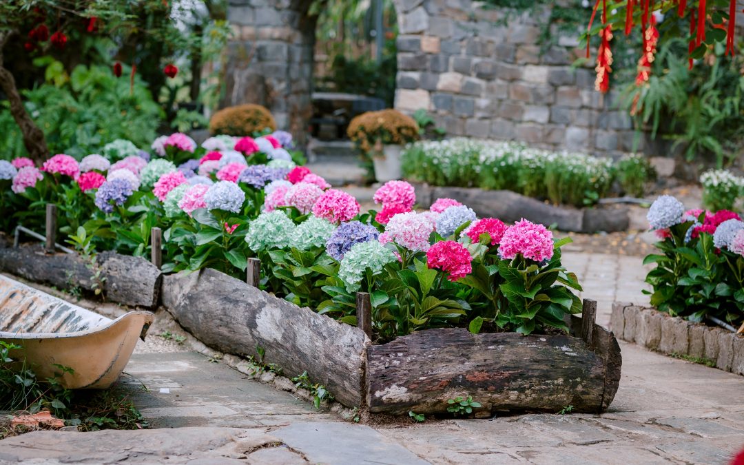 Stamped Concrete Edging for Garden Beds: Durable and Stylish Landscape Borders